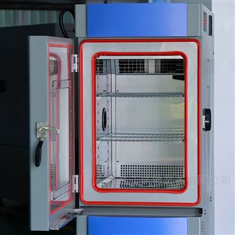 定制双85恒温恒湿试验箱