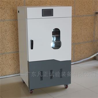 电热真空干燥箱